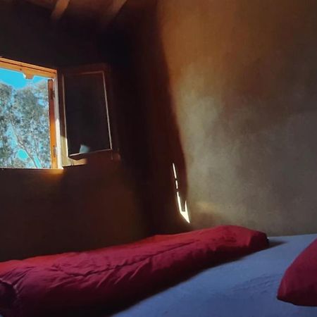 Tunis Camp Al Fayyūm Exteriér fotografie