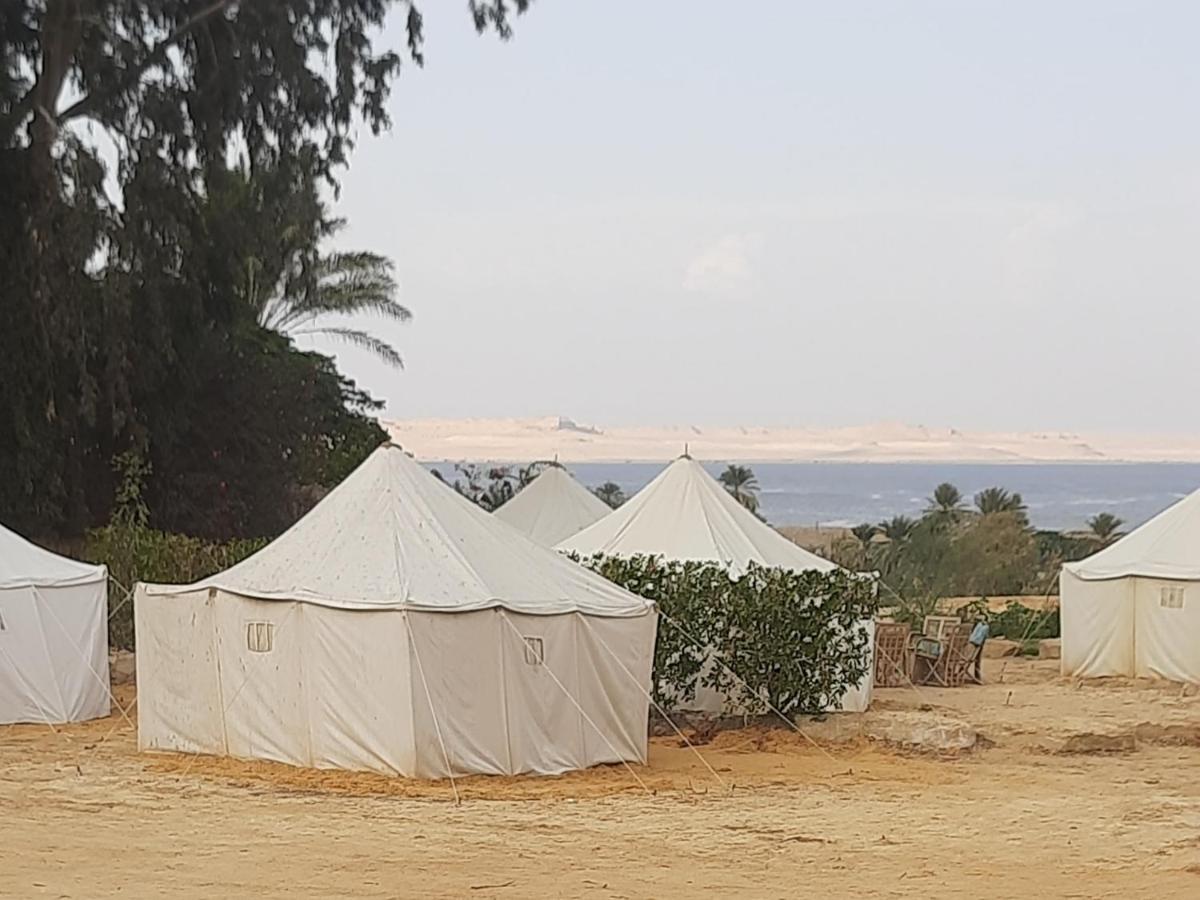 Tunis Camp Al Fayyūm Pokoj fotografie