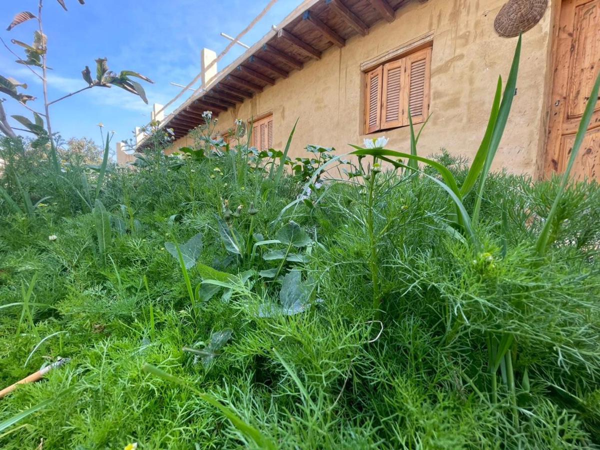 Tunis Camp Al Fayyūm Exteriér fotografie