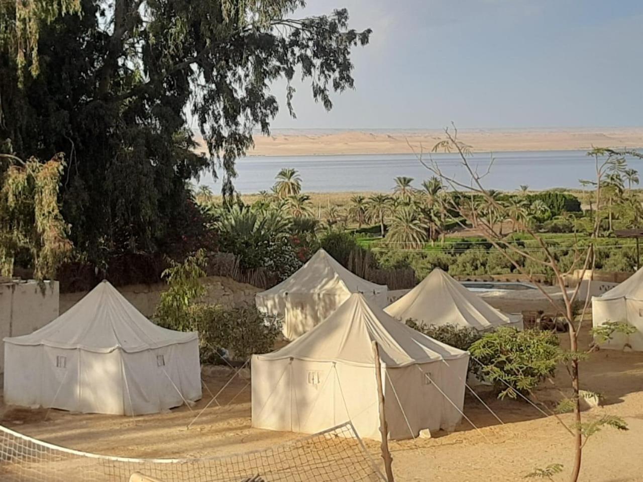 Tunis Camp Al Fayyūm Exteriér fotografie